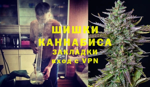амф Струнино