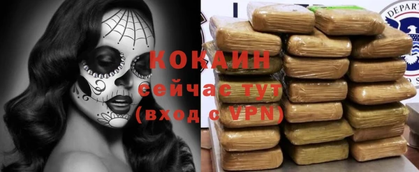 дживик Балахна