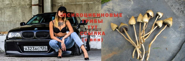 дживик Балахна